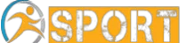华体会官方品牌Logo